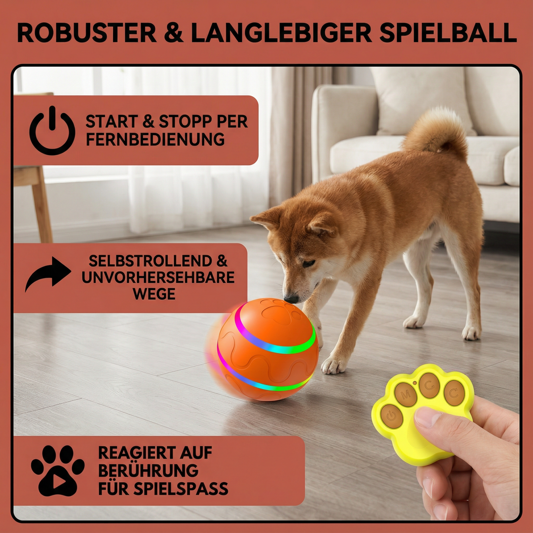 Robuster selbstrollender Hundeball für langanhaltende Aktivität. Ideales interaktives Hundespielzeug.