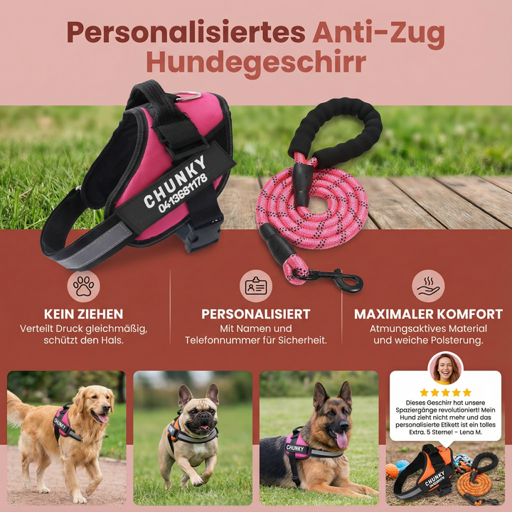 Reflektierendes Anti-Zug Hundegeschirr, personalisiert, für hohe Sichtbarkeit & Hundesicherheit.