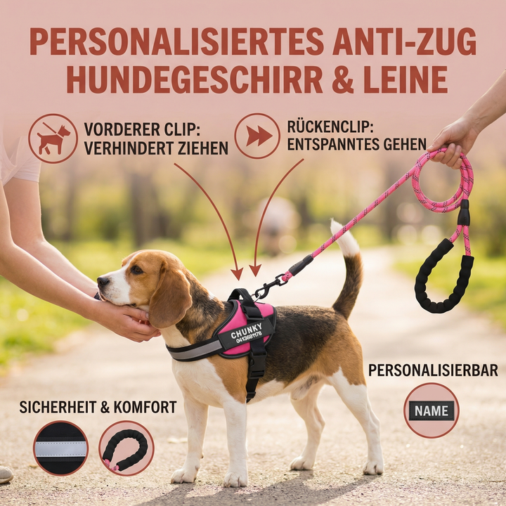Robustes Anti-Zug Hundegeschirr, verhindert Ziehen, ideal für komfortables Gassigehen.