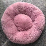 Heißes Pink