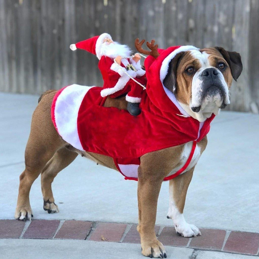 Weihnachtsmann Hundekostüm rot-weiß für festliche Weihnachtsstimmung & lustige Fotos.