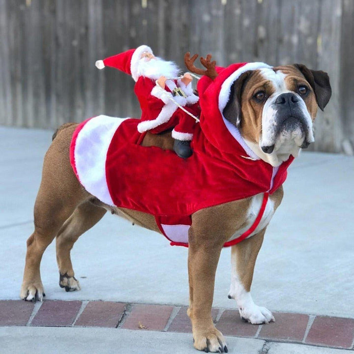 Weihnachtsmann Hundekostüm rot-weiß für festliche Weihnachtsstimmung & lustige Fotos.