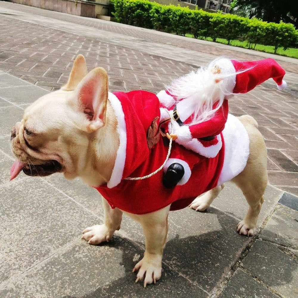 Kuscheliges Weihnachtskostüm für Hunde, perfekt für die Feiertage und festliche Familienfotos.