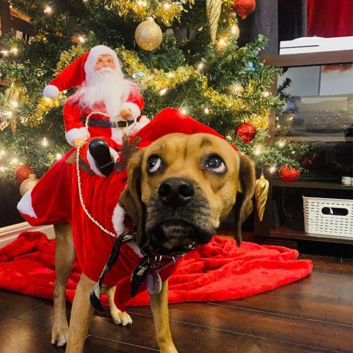 Festliches Haustierkostüm im Weihnachtsmann-Stil; ideal für Hunde & die Weihnachtszeit.