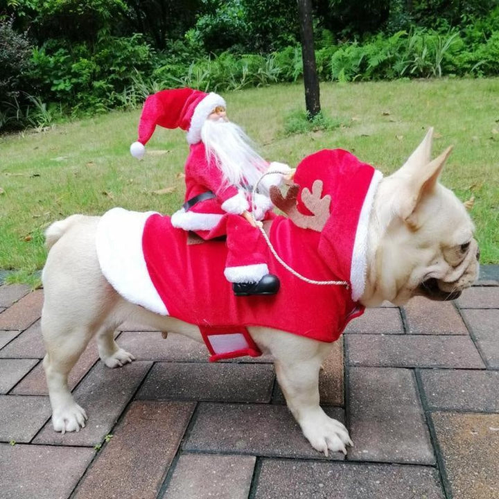 Hundemode: Weihnachtskostüm für Hunde, das jedem Vierbeiner festliche Freude bereitet.