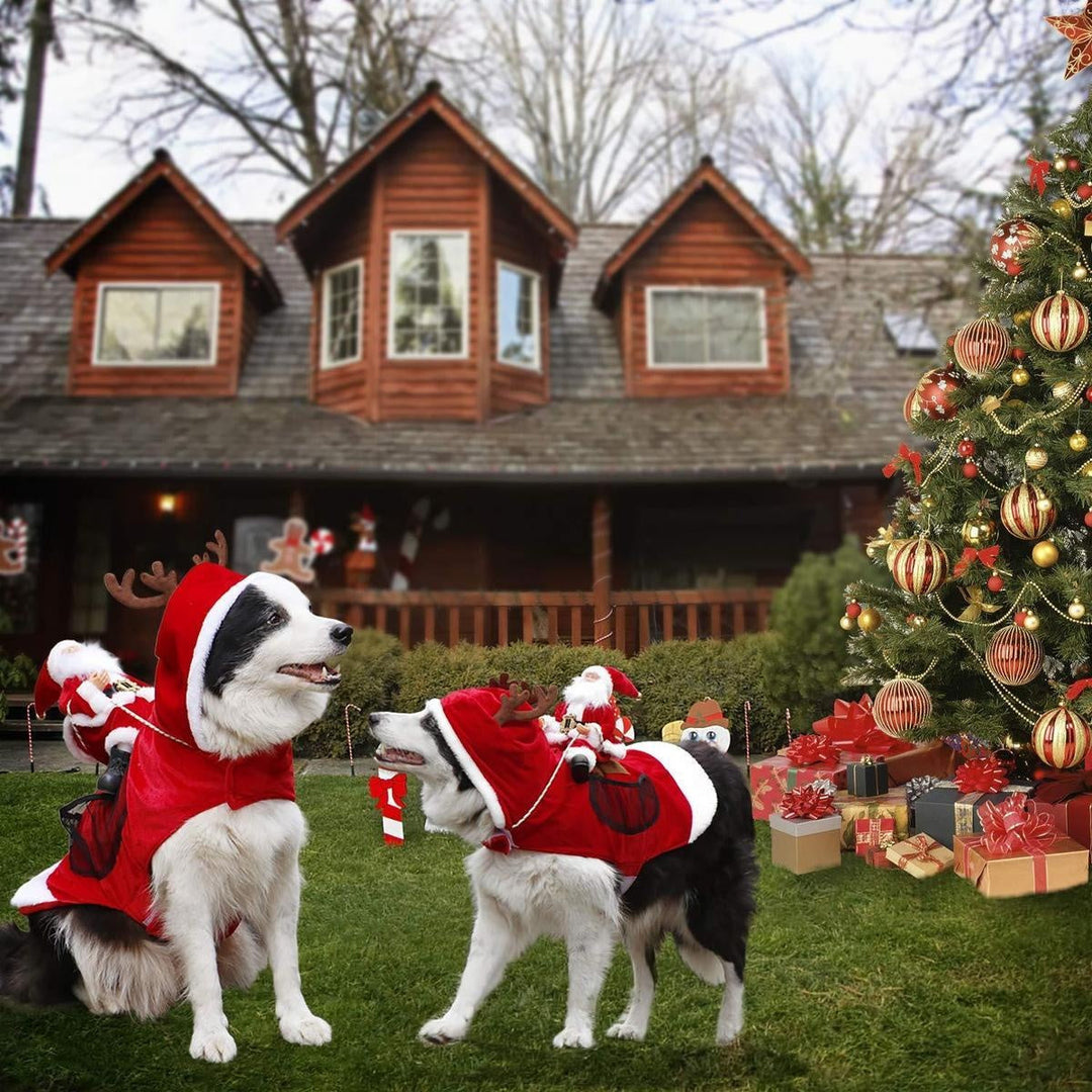 Verkleidung für Hunde: Weihnachtsmann-Outfit für festliche Spaziergänge und Feiern.