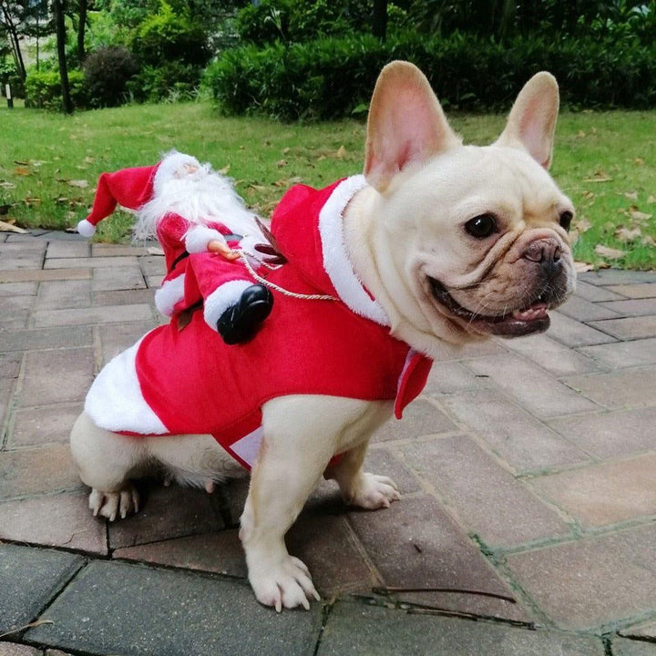 Hochwertiges Weihnachtskostüm für Hunde, das Komfort und festlichen Stil vereint.