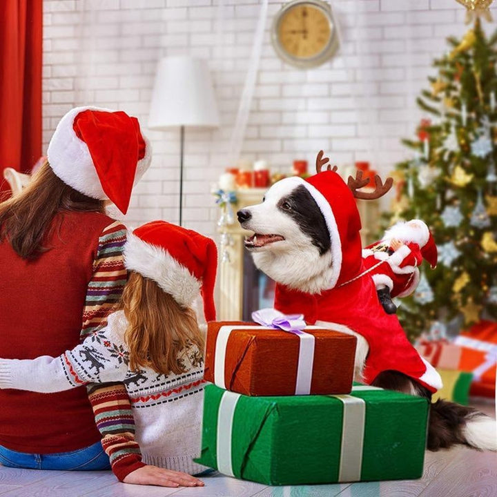 Komplettes Weihnachtsmannkostüm für Hunde, inklusive roter Jacke und passender Mütze.