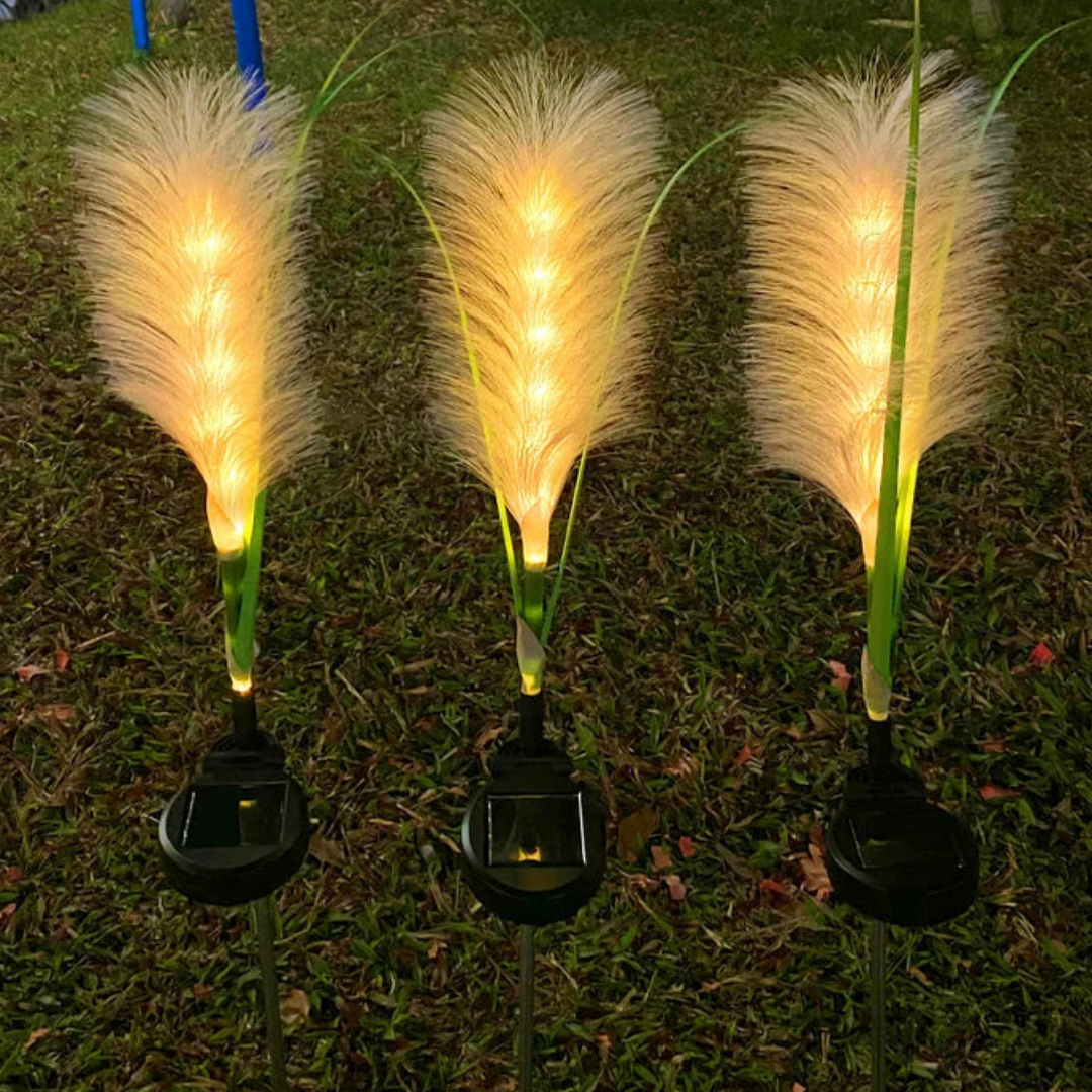 Wetterfeste LED-Pampasgras-Solarleuchte für Garten-Dekoration, sorgt für stimmungsvolle Gartenbeleuchtung im Außenbereich.