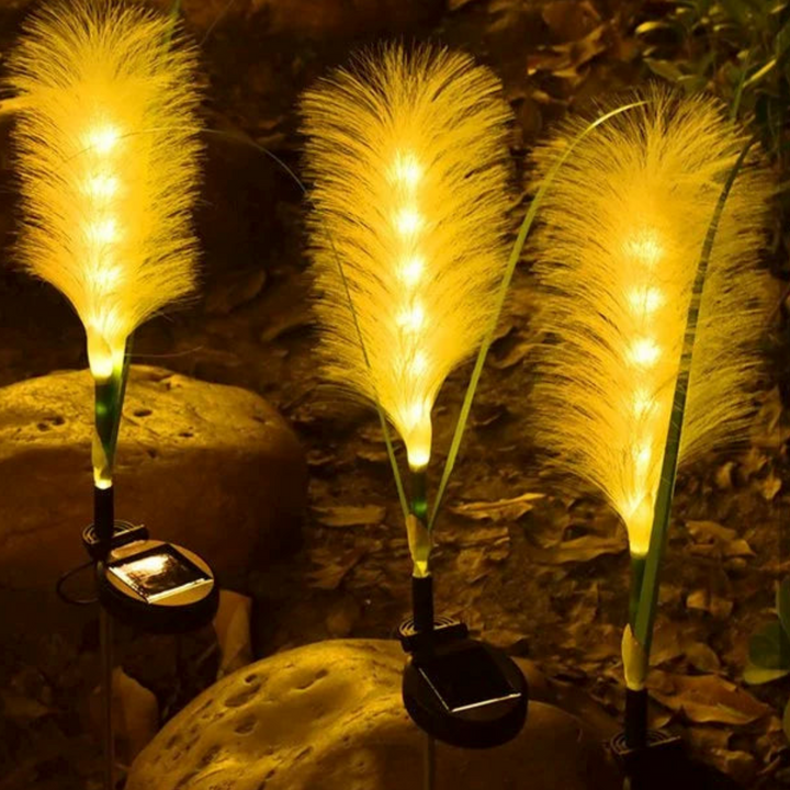 Dekorative Pampasgras LED-Gartenstecker-Solarlampen für stimmungsvolles Ambiente im Garten und Außenbereich.