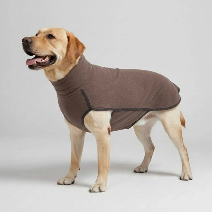 Winddichter, wasserabweisender Hundemantel für große Rassen. Optimaler Wetterschutz für kalte Tage.
