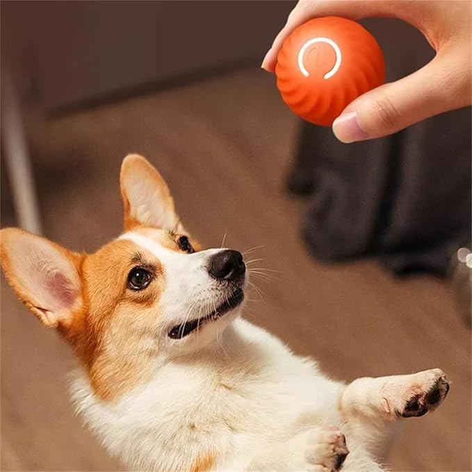 Interaktiver Springball für Hunde, robustes Hundespielzeug zur Bewegung & Beschäftigung, ideal für Welpen.